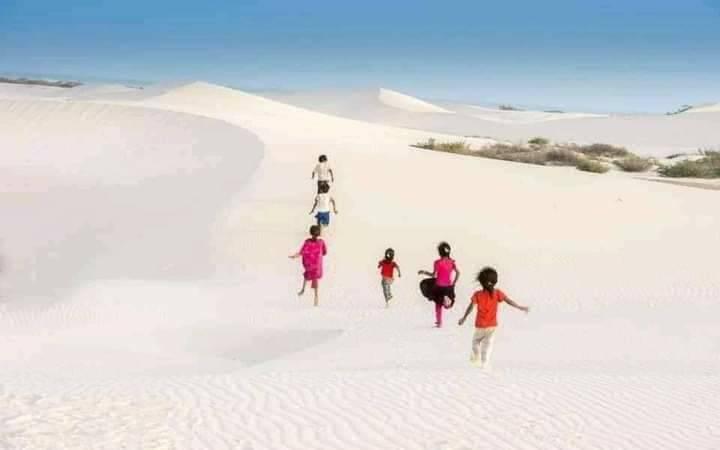 169020369 397482394761847 6360398947592553247 n