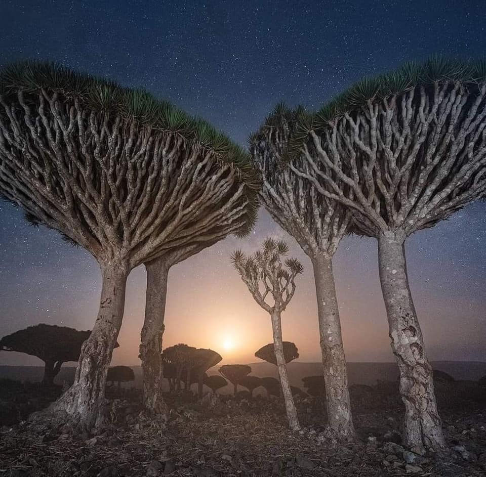 217683767 4141906962523809 7867471256454999534 n