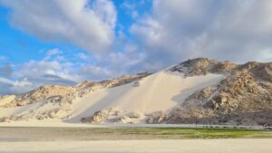 255604507 4748123251878816 159516466722125058 n Copy