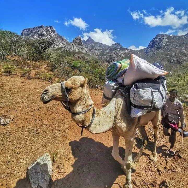 282047797 2384744201665241 6267607289029605891 n