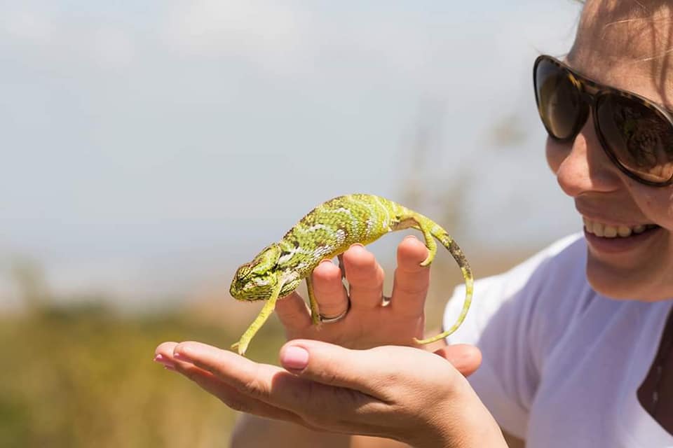 296671605 10220969478573388 8778310265605125204 n