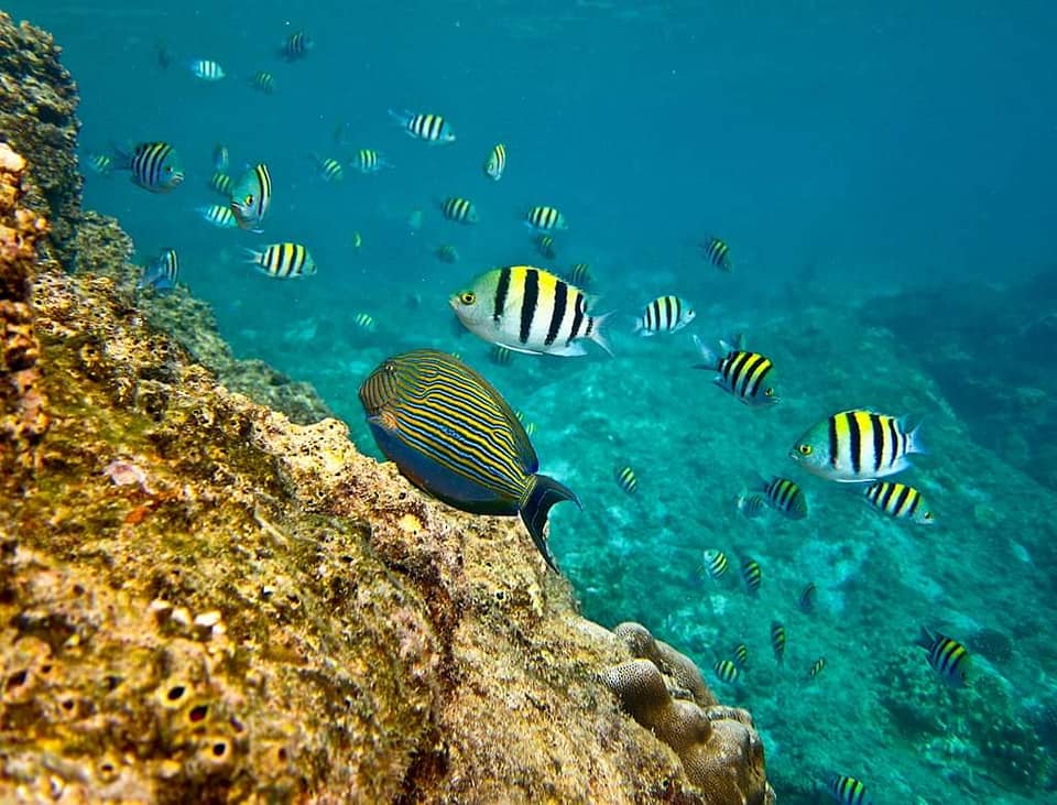 296919780 10220969204846545 5071806844332085930 n