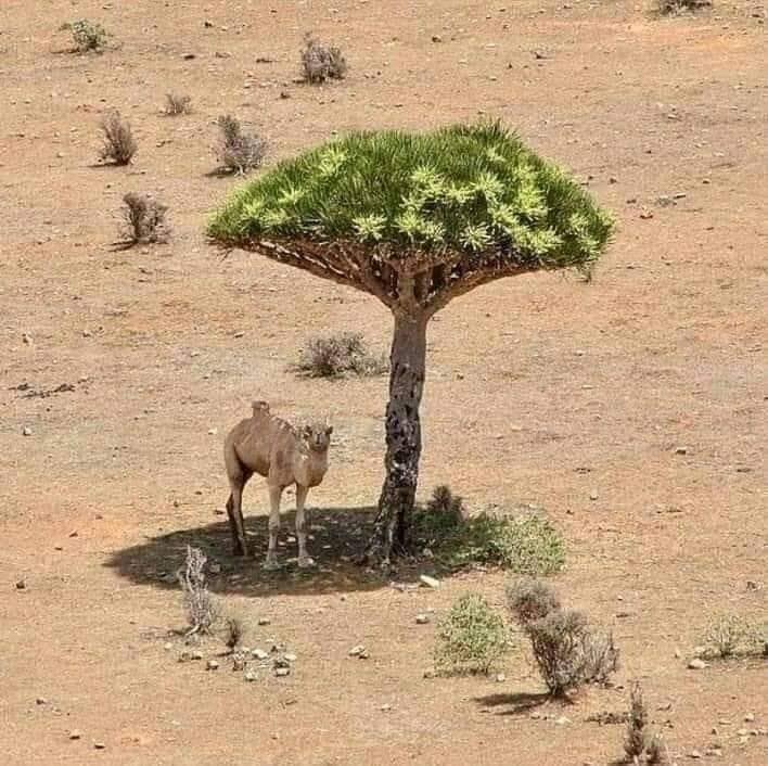 296981236 10220969406531587 3098303230475522339 n