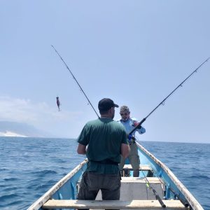 Socotra's Ultimate Fishing Adventure
