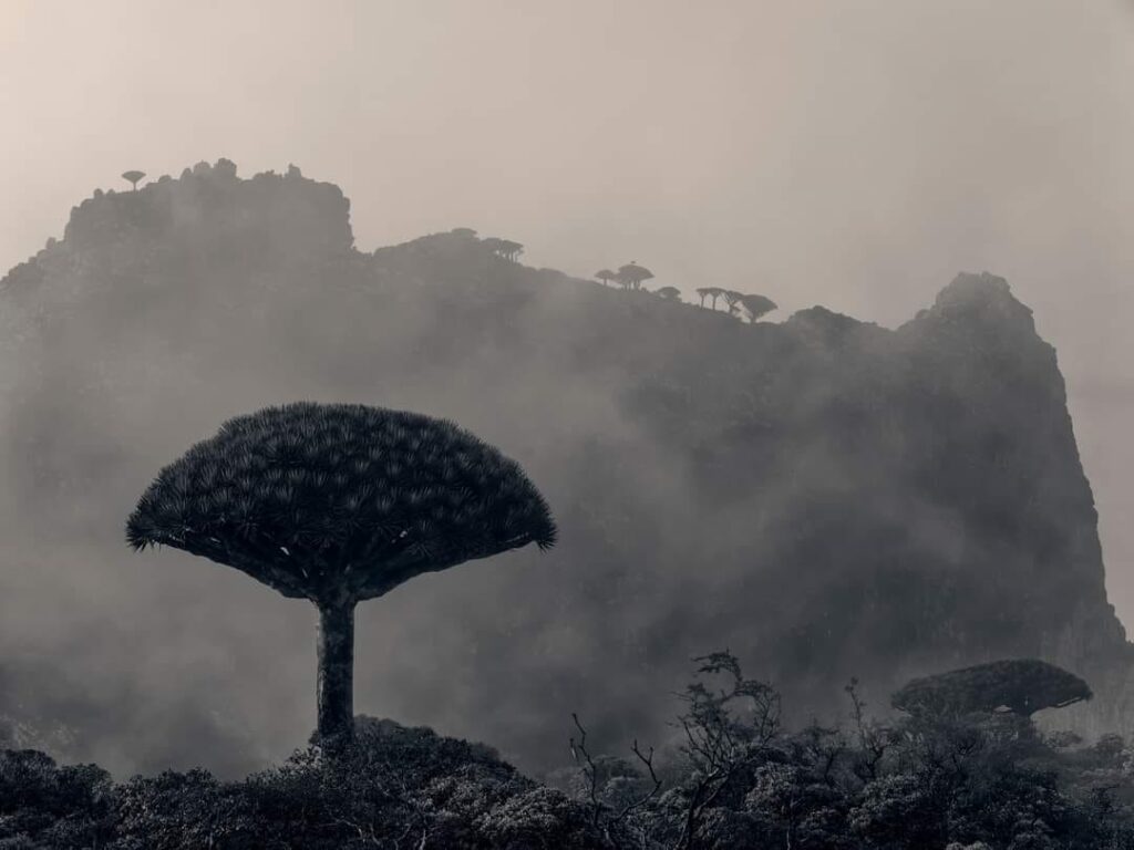 The Geographic Enigma: About Socotra's Location
