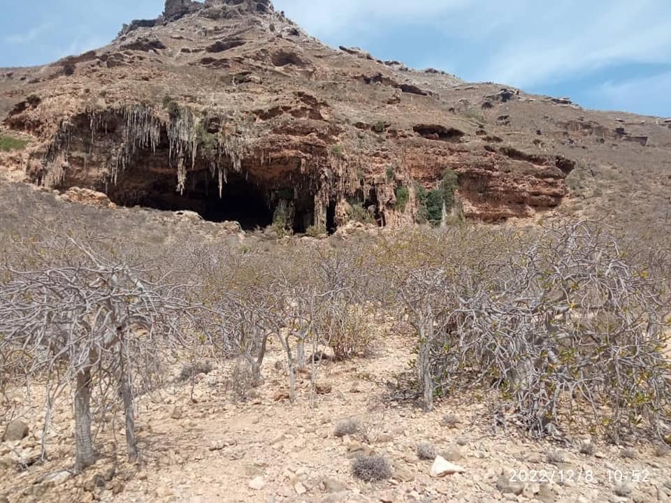 326363490 734318314590785 8917147231026967100 n