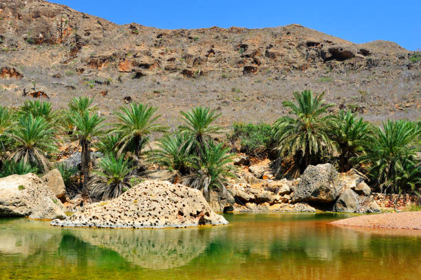 istockphoto 1066257702 612x612 1