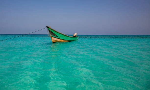 istockphoto 1083589100 612x612 1