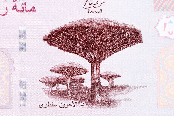 istockphoto 1330014955 612x612 1