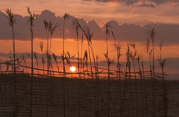 istockphoto 152177485 612x612 1