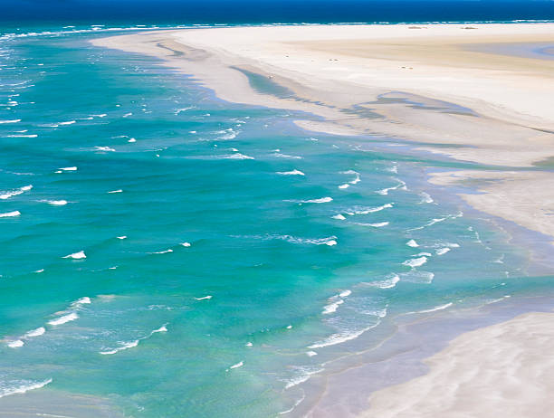 istockphoto 183540443 612x612 1