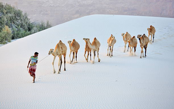 istockphoto 516848794 612x612 1