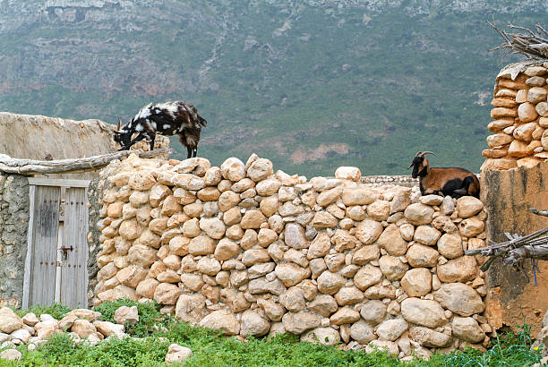 istockphoto 637651308 612x612 1