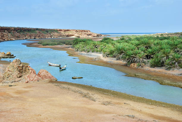 istockphoto 922663716 612x612 1