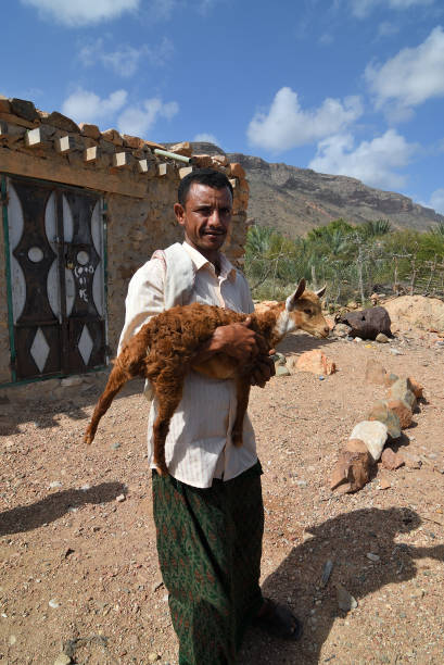 istockphoto 969045988 612x612 1