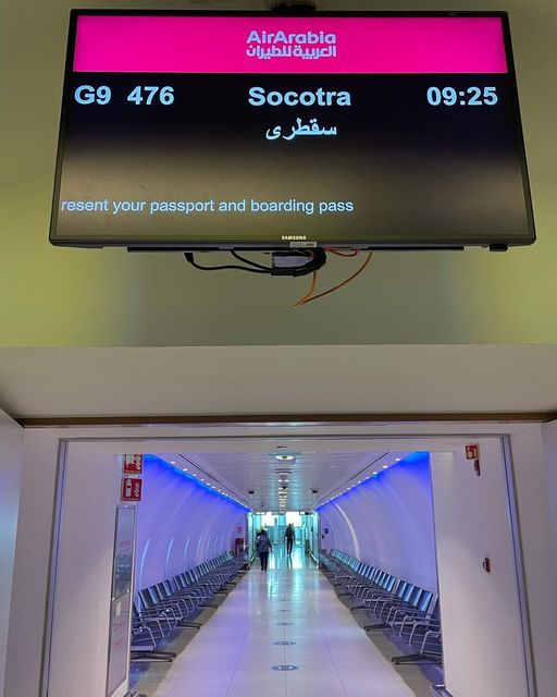 298902697 115292297934551 3814866955657899279 n