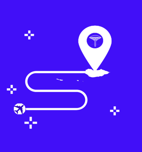 cropped cropped cropped cropped cropped Socotra Travel Center Logo