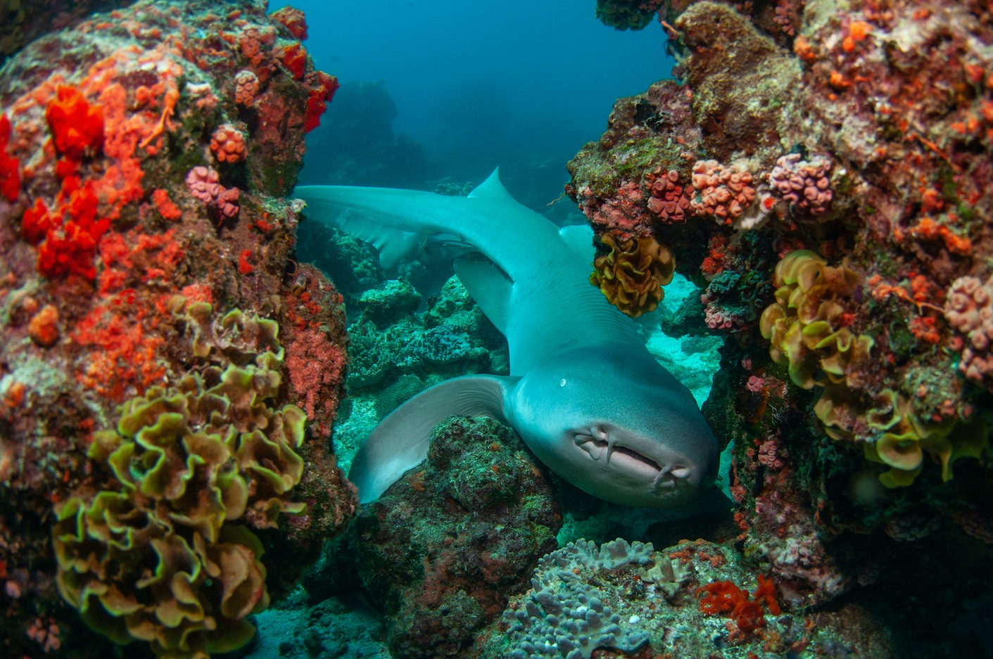 230666382 119421583747973 307733618325171539 n