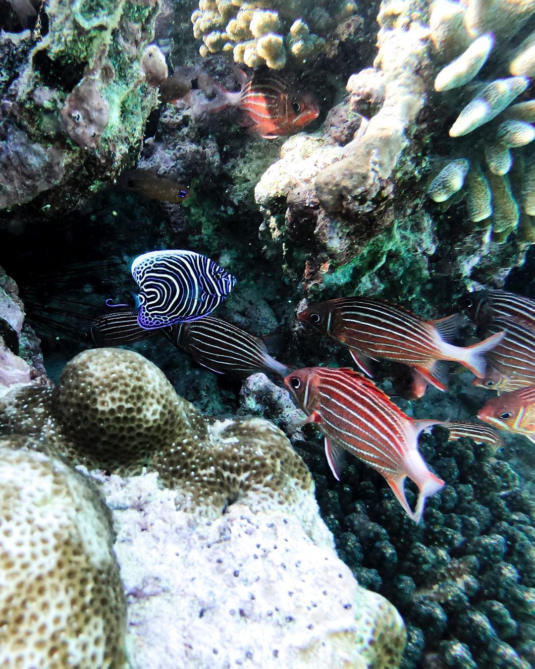 273156210 354911729786727 2740506548464712851 n