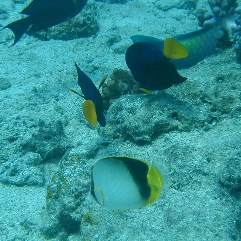 283759754 5378738085543446 5404869342120864775 n