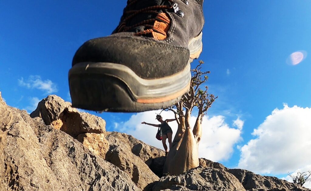 294819342 386378813620518 3932816198201028685 n