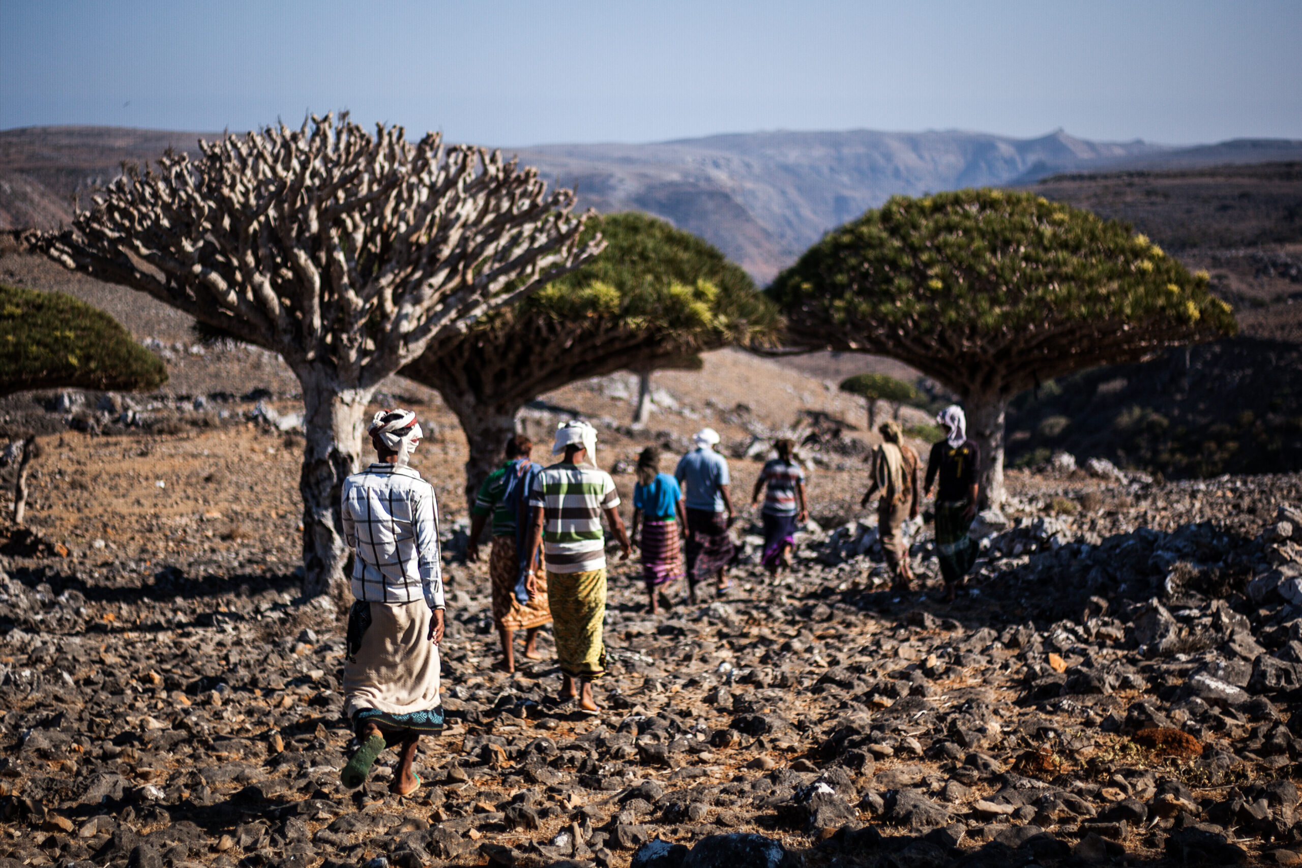 A Historical Tapestry: Socotra's Past