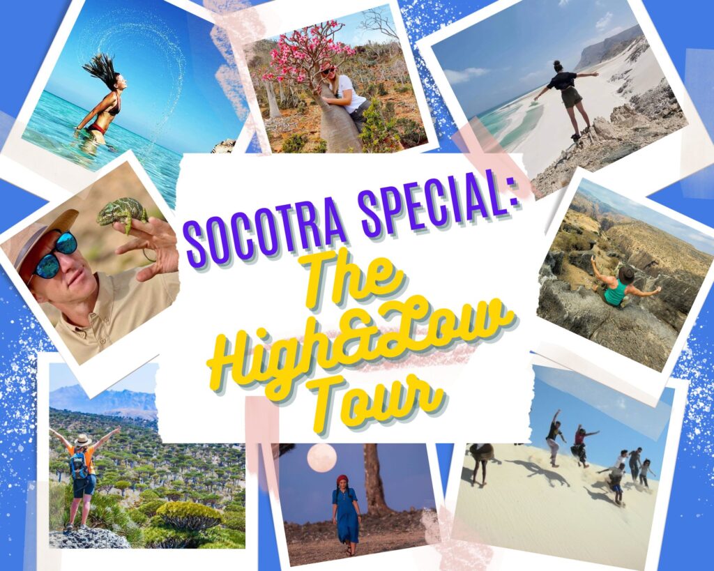 SOCOTRA SPECIAL The High&Low Tour