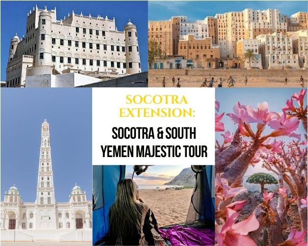 Socotra Extension – Socotra & South Yemen Majestic Tour3